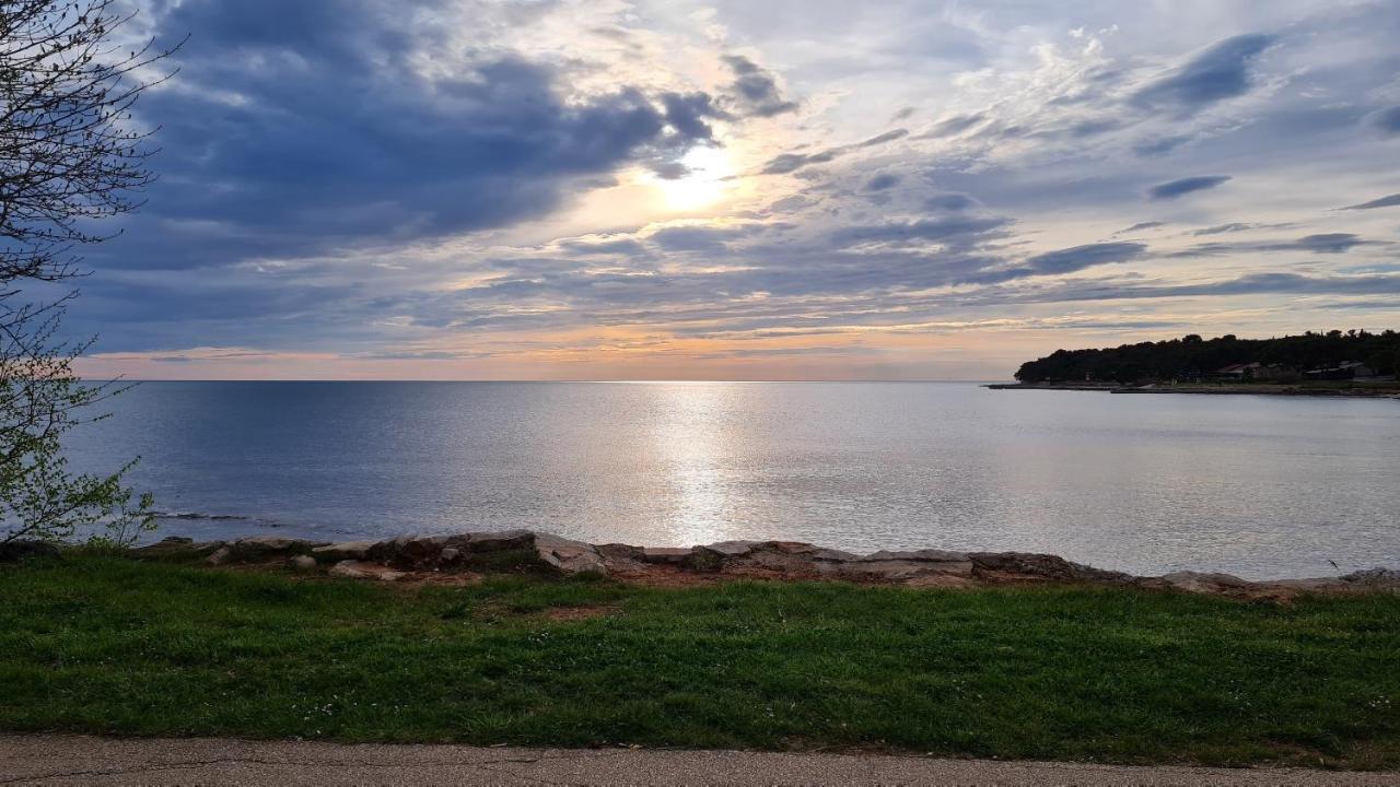 Apartments Kivi Novigrad Istria Εξωτερικό φωτογραφία