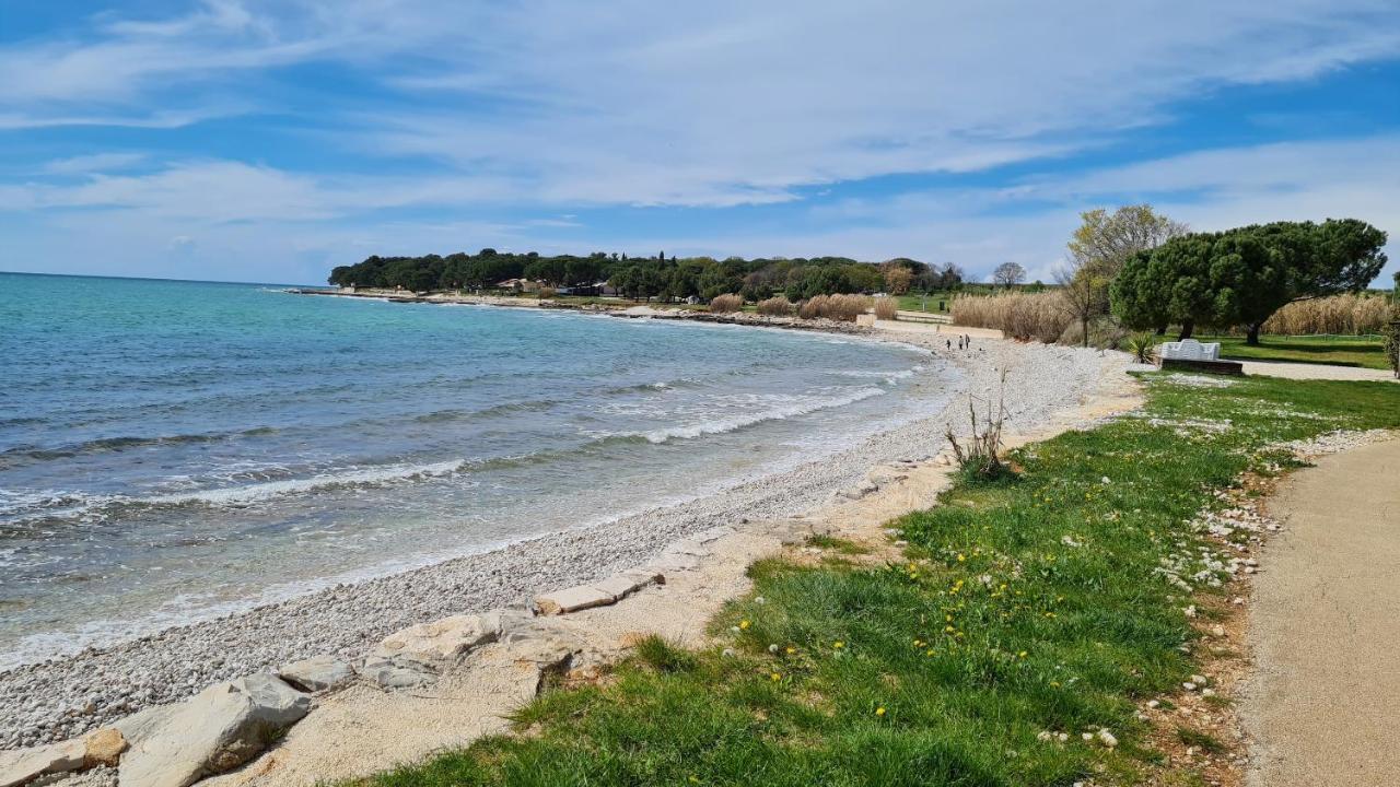 Apartments Kivi Novigrad Istria Εξωτερικό φωτογραφία