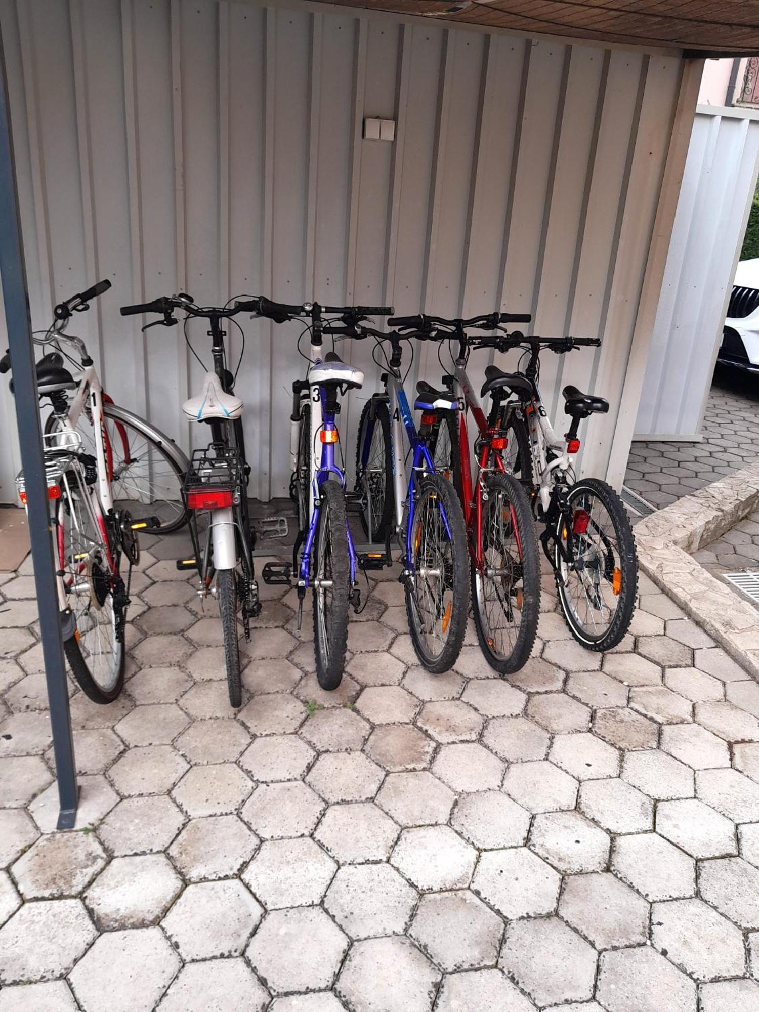 Apartments Kivi Novigrad Istria Εξωτερικό φωτογραφία
