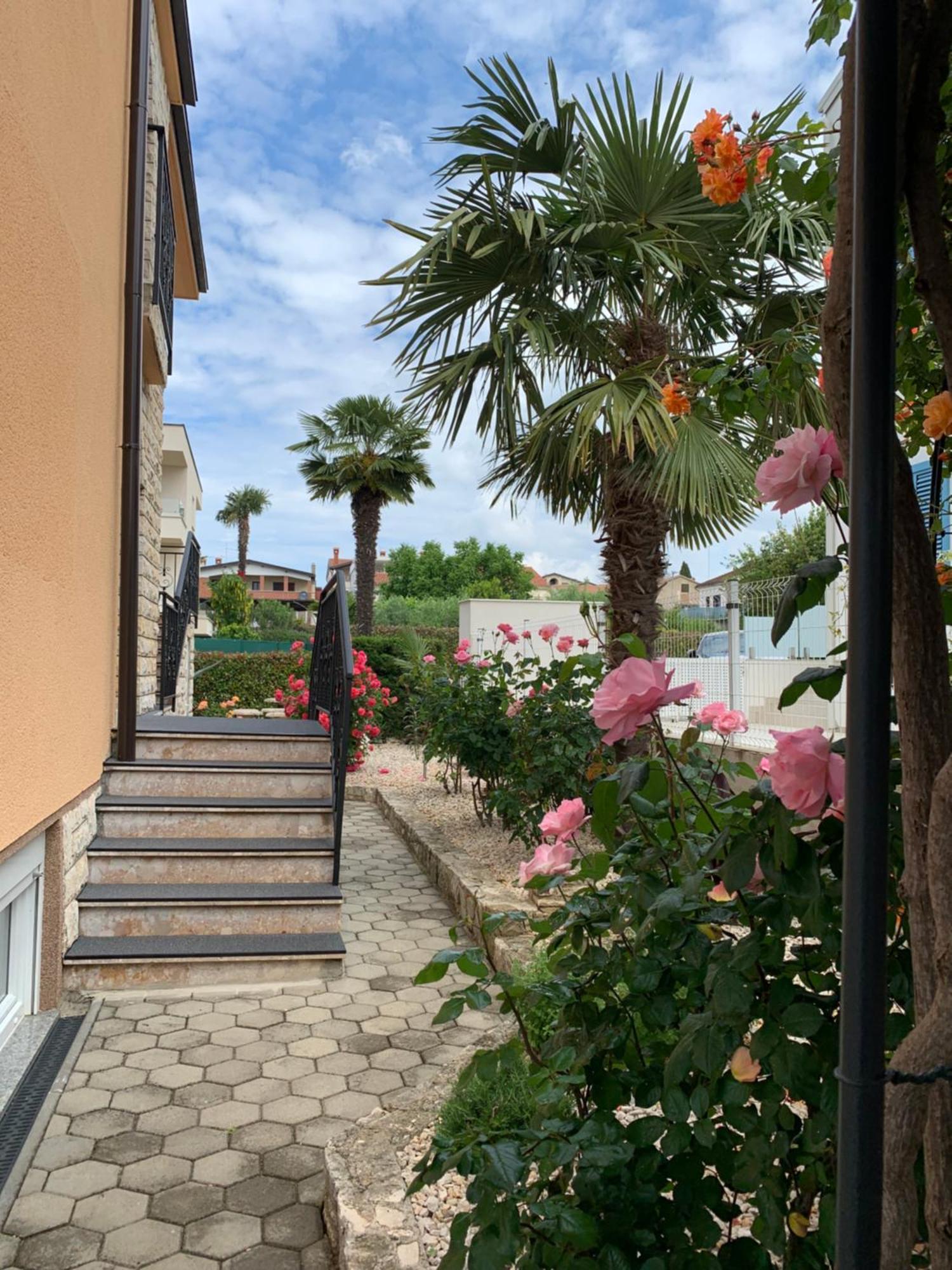 Apartments Kivi Novigrad Istria Εξωτερικό φωτογραφία