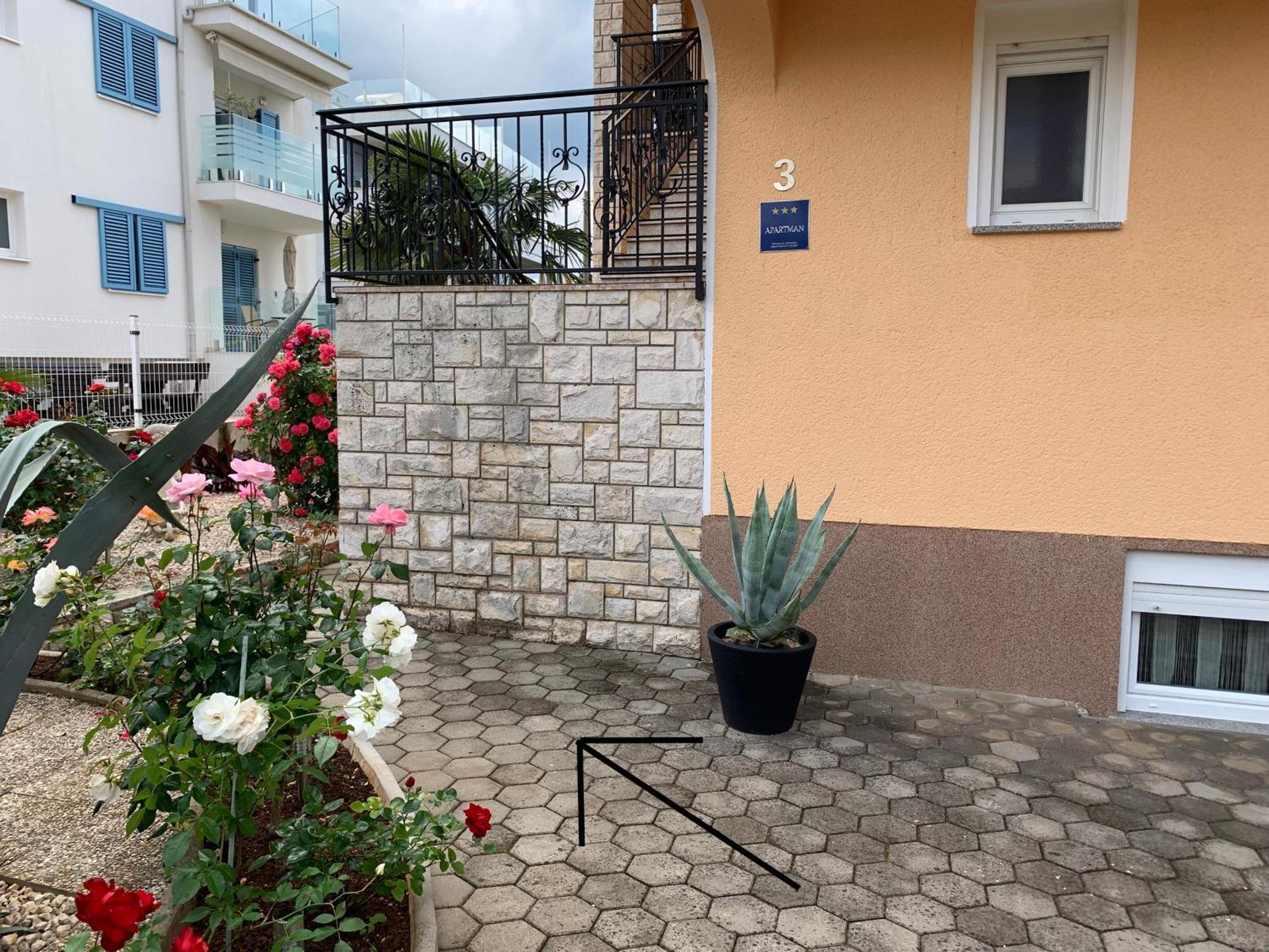 Apartments Kivi Novigrad Istria Εξωτερικό φωτογραφία