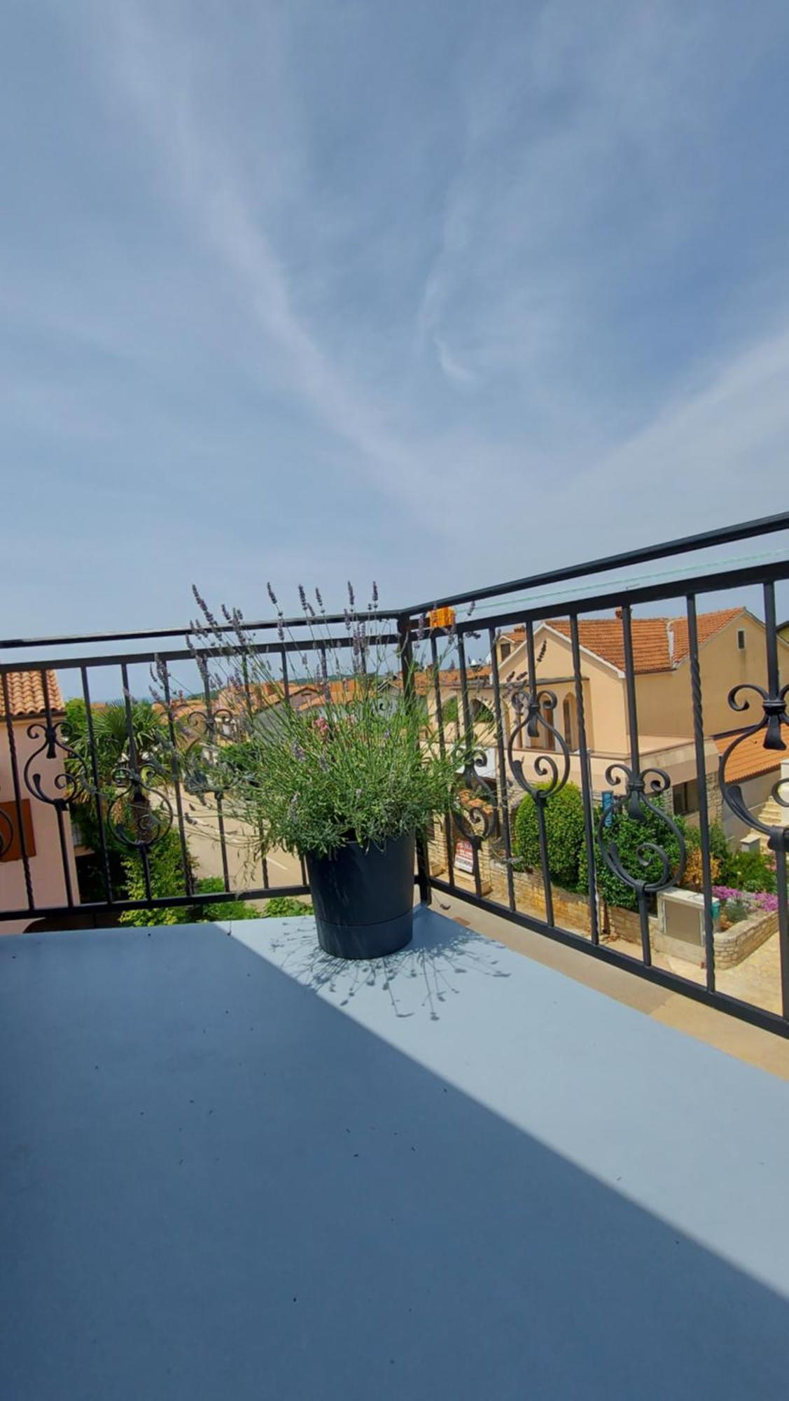 Apartments Kivi Novigrad Istria Εξωτερικό φωτογραφία